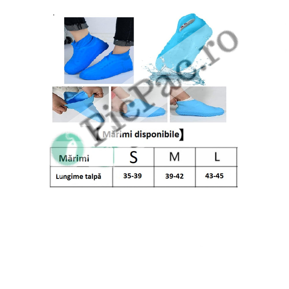 1818ac55-6f74-48df-8bae-58d5bf2dd63b_3