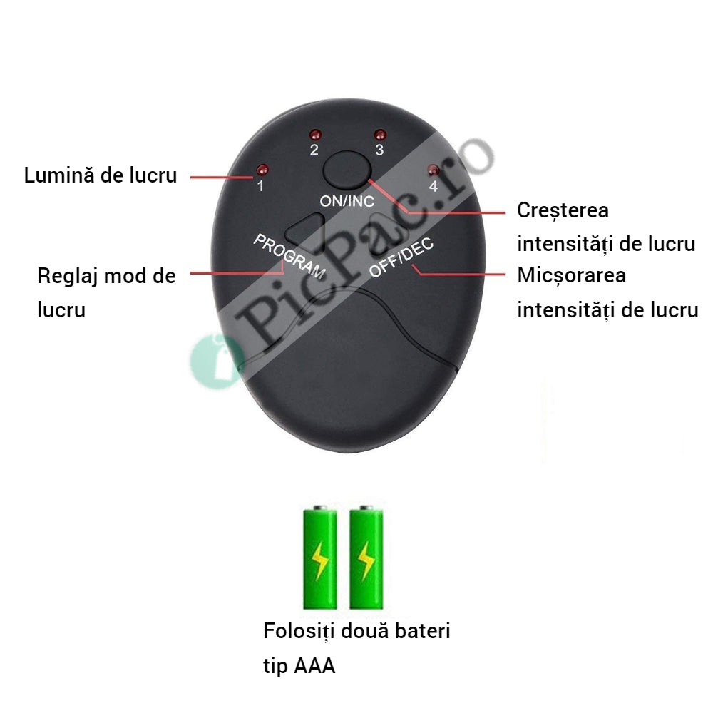 8b43bd10-fbe3-4794-93be-8c32d5973b27_2