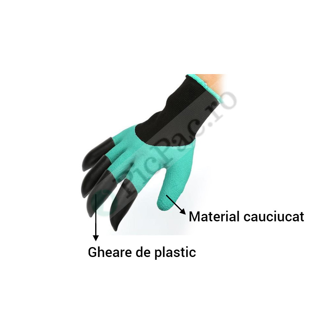 5d8cf151-ec80-4e42-9dc8-e3c58588656c_1