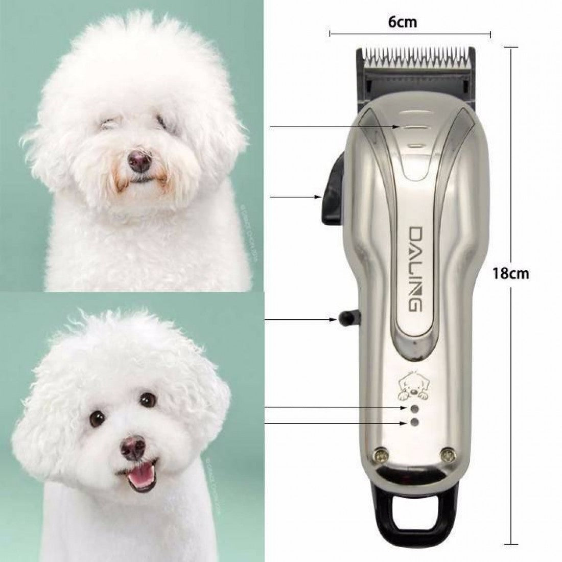 9fc4812d-f954-4d3f-9f63-599158f7b345_3