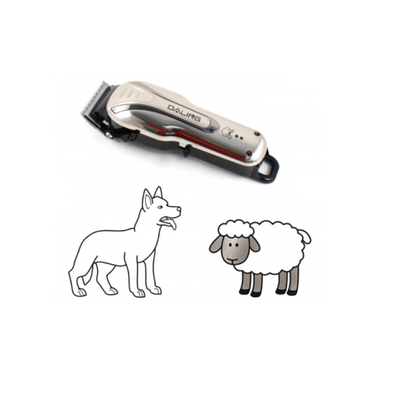 9fc4812d-f954-4d3f-9f63-599158f7b345_6